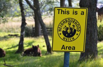 eltham green, neighbourhood watch, safer neighbourhoods